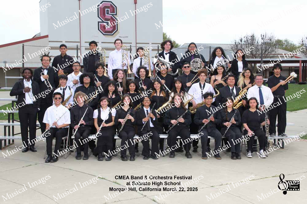 Musical Images